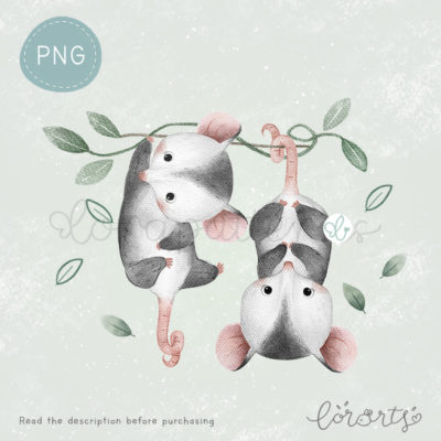 [Clipart PNG] Cute Little Possums