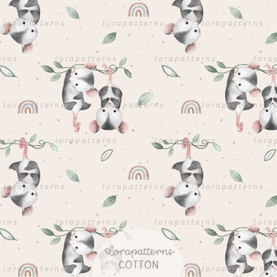 [Exclusive] Cute Little Possums