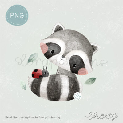 [Clipart PNG] Cute Little Raccoon