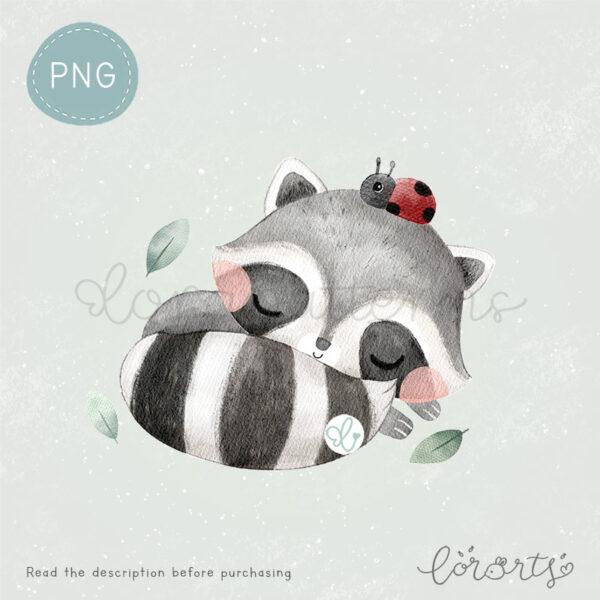 [Clipart PNG] Cute Little Raccoon - Image 3