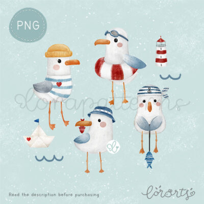 [Clipart PNG] Seagull Summer Time