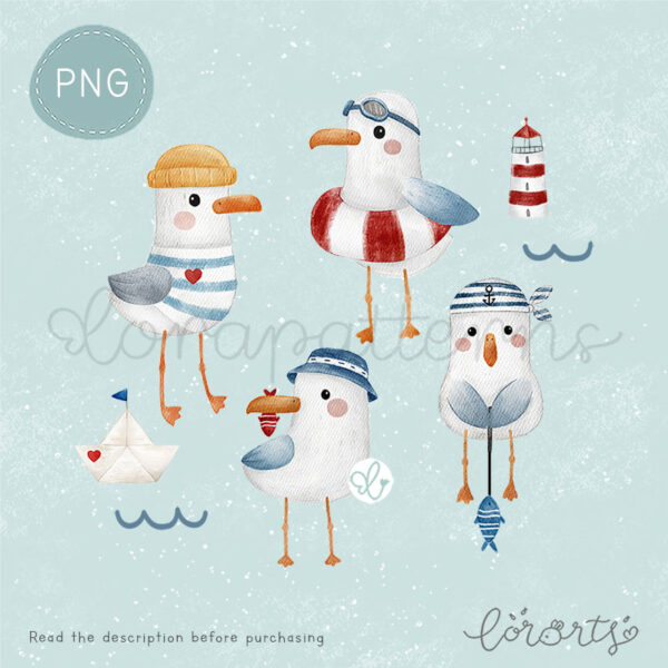 [Clipart PNG] Seagull Summer Time
