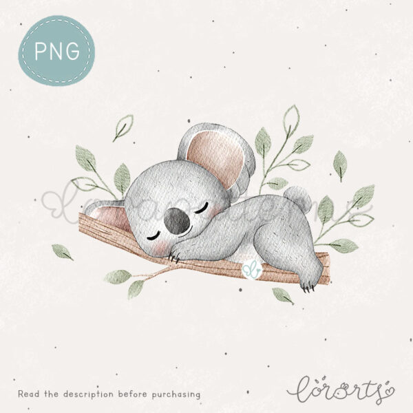 [Clipart PNG] Koala Neighborhood - Image 4