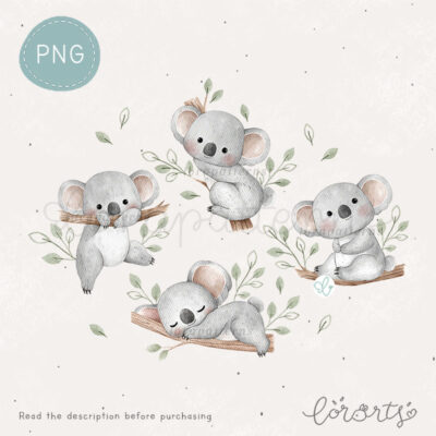 [Clipart PNG] Koala Neighborhood