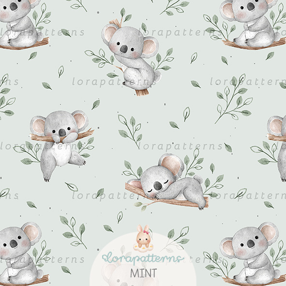 [Exclusive] Koala Neighborhood
