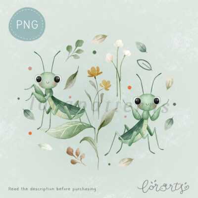 [Clipart PNG] Grasshopper Field