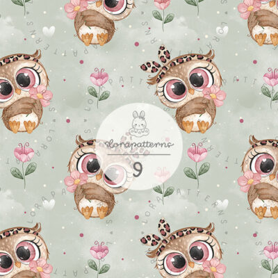 [Exclusive] OWLways Be Cute