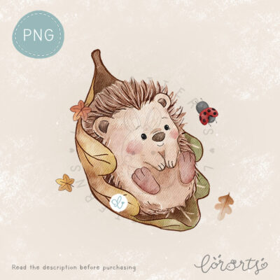 [Clipart PNG] Cozy Hedgehog