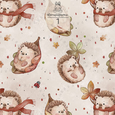 [Exclusive] Cozy Hedgehog