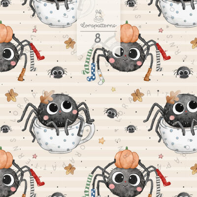 [Exclusive] Cozy Spider